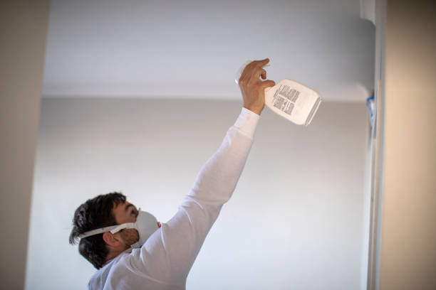 Best White Mold Remediation in Dayton, WA